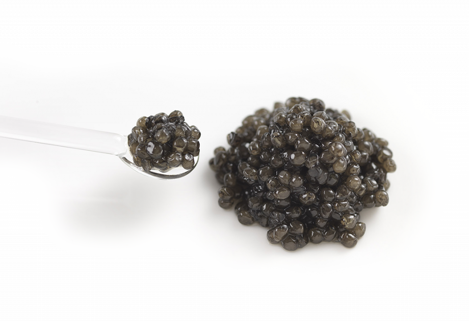 caviar-spoon